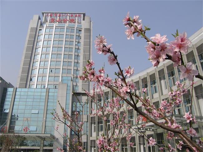 上海市第一人民醫(yī)院寶山分院.JPG 上海市第一人民醫(yī)院寶山分院.JPG